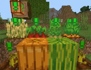 Plant Indicator Resource Pack