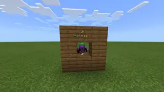 Armor Indicator