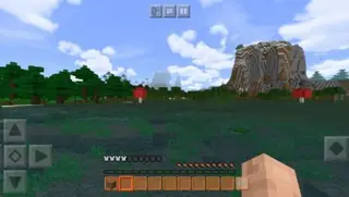 No Indicators