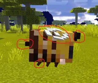 3D Models