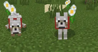 Mob Animations