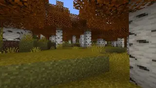 3D Textures