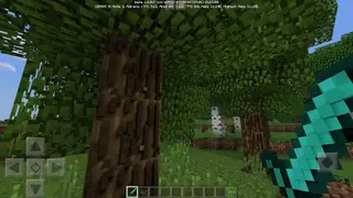 3D Textures