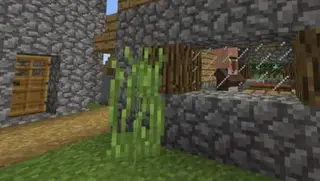 Textures with Beautiful Windows for Minecraft PE