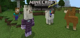 Llama Head Textures | MINECRAFT 1.2.8 PE WIN 10
