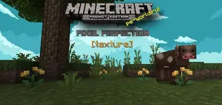 Pixel Perfection 16×16 Textures | MINECRAFT PE WIN10 1.2.5.15