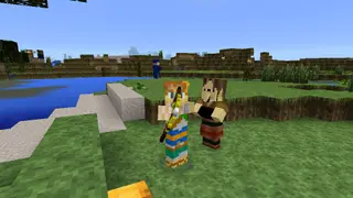 Legend of Zelda Craft