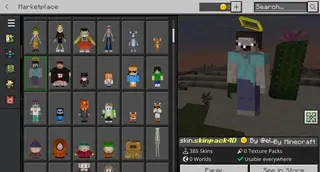 4D Skins on Server