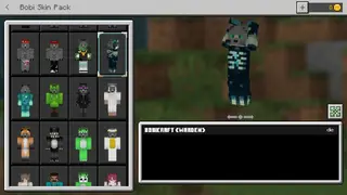 Skins: BobiCraft 1.16; 1.17+