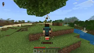 Fast Tree Chopping