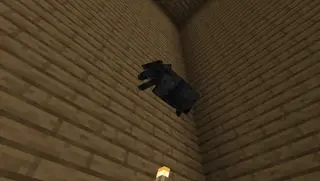 Cool Mobs