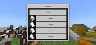 New Block Shapes