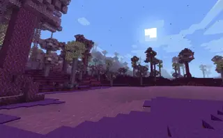 Elven World