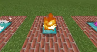 Particle Placement