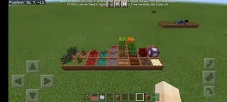 Botanical Pots