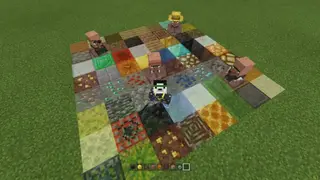 Block Illusion