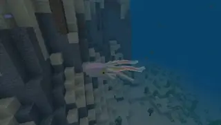 Enhanced Oceans