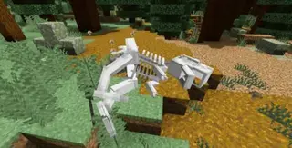 Dinosaur Exploration