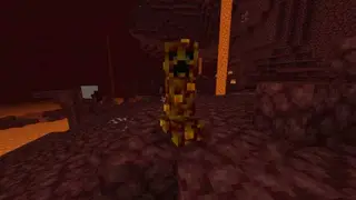 Large Number of Nether Mobs