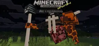 Nether King Mod
