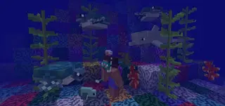 New Minecraft 1.3 Version Addon