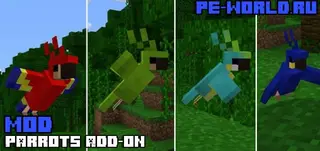 Parrots Add-on