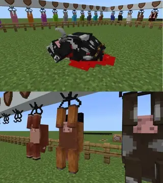 Meat Harvesting 26+