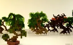 Medium Tree Pack