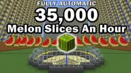 Fully Automatic Farm 35,000 Melon Slices An Hour