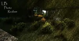 LB Photo Realism Pack 256x256 Version 10.0.0