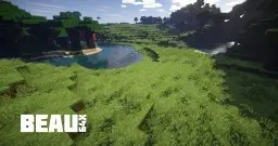 Beau 64x