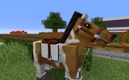 EquestrianGames pack