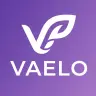 Vaelo