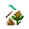 Harvest Fortune