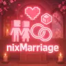 nixMarriage | marriages, families & shared bank with web support