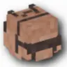 Mini Backpacks