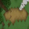 Player Paths