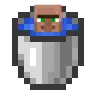 VillagerBucket