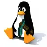 Linux Server Manager (Bash)