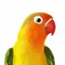 Parrot Roleplay - Roleplay Engine for Roleplaying!