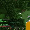 Report System | BungeeCord