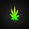 WonderDrugs