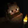 Miner's Insanity