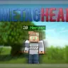 NameTagHealth
