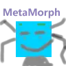 Metamorph ——Have fun!‍