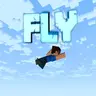 Fly