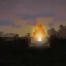 InTheWild