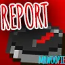 Report