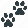 HoverPets [1.16.x-1.20.x] ✅Create your own pet ✅ | Simple GUI, Effects, Animations and much more!