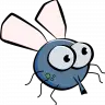 Fly